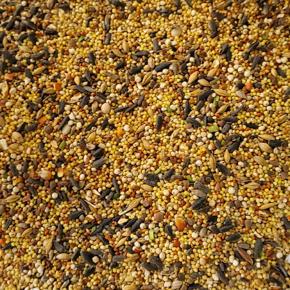 Vitapol Economic Mieszanka Dla Małych Ptaków Papużki Falistej 1,2kg